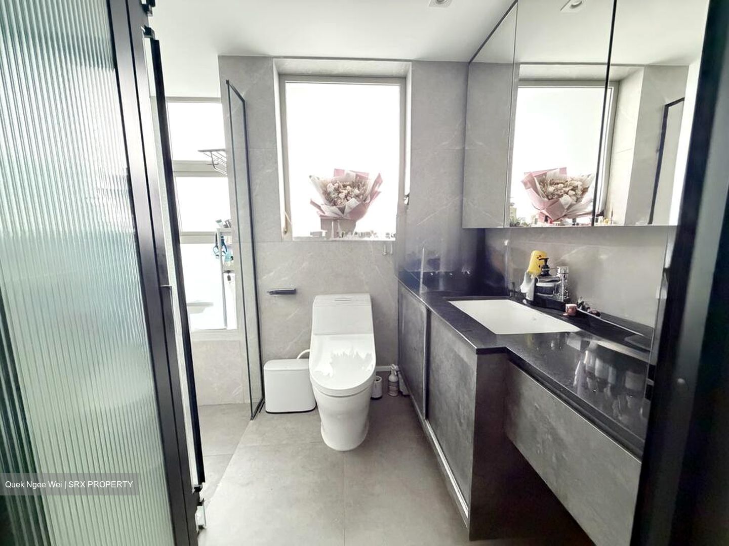 The Vision (D5), Condominium #511003251
